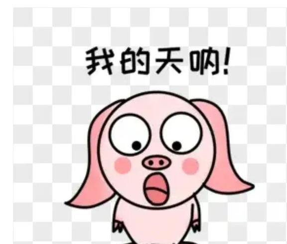 太突然了（北美联赛）圣多美和普林西比跟冈比亚比分预测行业平台-一手资讯