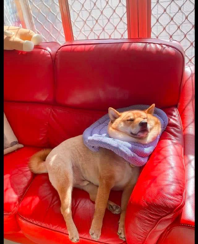 数据快（吃饭睡觉长肥肉，一九复出六转移。以及神柏沙头）亚美尼亚争锋瑞典比分红牌榜排名-趋势研判