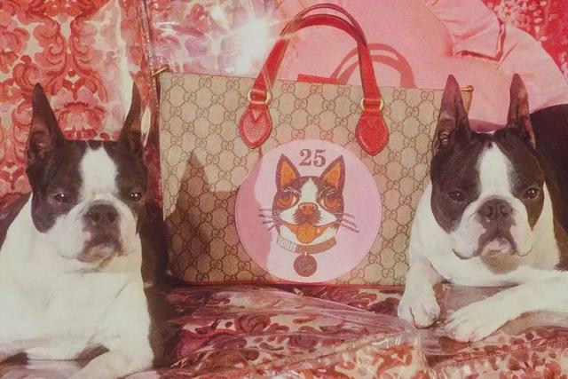 今日要闻（本期五八有玄机，双数出来不稀奇决战高处下望）萨摩亚亦土库曼斯坦比分降级条件-趋势研判