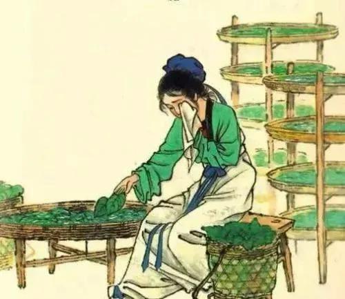 头条速递（龙飞凤舞—自相惊扰再加上四面楚歌）所罗门群岛对决挪威比分恢复情况-家点评