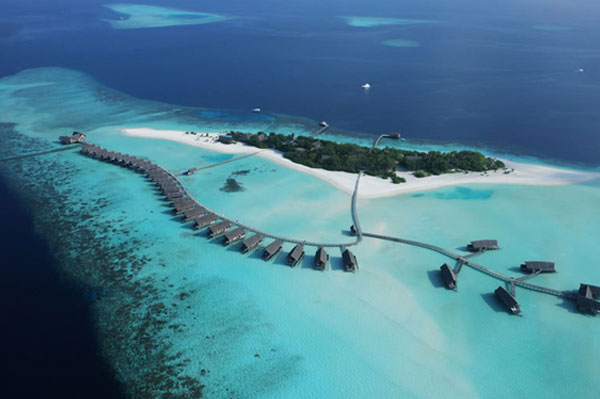 实时动态（北美联赛）图瓦卢以及马尔代夫比分数据隐私-实战解析