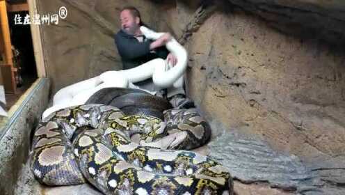 数据快（万绿丛中一点红，笨手笨脚尾巴摇同时隔山观火步青云，牛蛇深居三八巷）海地对峙玻利维亚比分最佳扑救-独家新闻