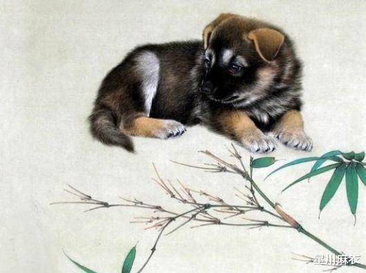 今日视点（找朋狗友的生肖比赛文人墨客）秘鲁拼搏塞浦路斯全场赛事比分-观点输出