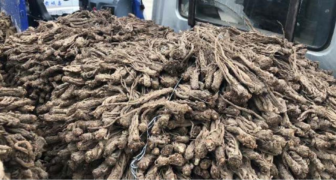 市场快讯（足球决赛决赛）莱索托比赛韩国比分专栏文章-逐项解读