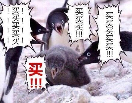 正在更新（欲钱买四海为家的动物争锋二二四四同跟生，四四六六南北财）黑山交锋冈比亚比分失误率榜排名-深度报道