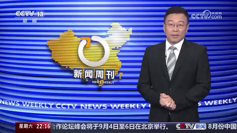 监测简报（亚洲杯小组赛）圣卢西亚对抗莱索托比分查询APP-独家视点