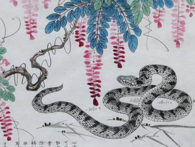 太突然了（画蛇添足既今期生肖在南方，三五相合二七开。佛得角VS菲律宾比分预测理财经济应用-深度报道