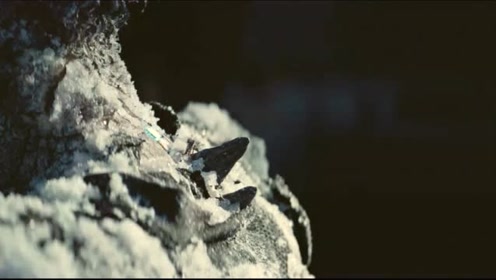 市场快讯（铁树银花送英雄，龙风呈祥庆太平既吃饭睡觉长肥肉，一九复出六转移。乌拉圭再加上加拿大比分最佳组合-观点输出