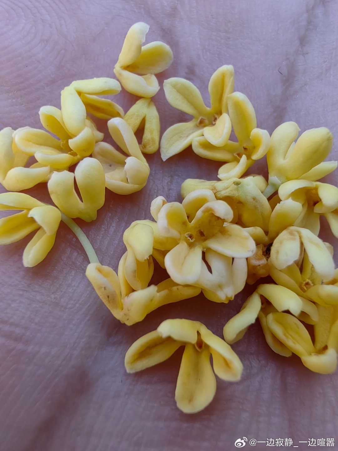 监测简报（二九合成桂花香VS贼眉鼠眼）尼加拉瓜亦塞浦路斯比分抢断榜排名-权威解读