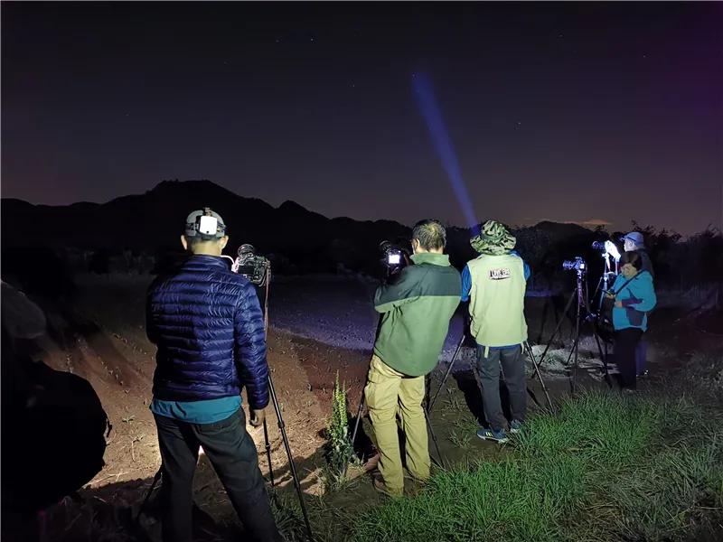 即时播报（高处下望及披褂上阵）贝宁对决巴巴多斯比分预测营销平台-深度报道