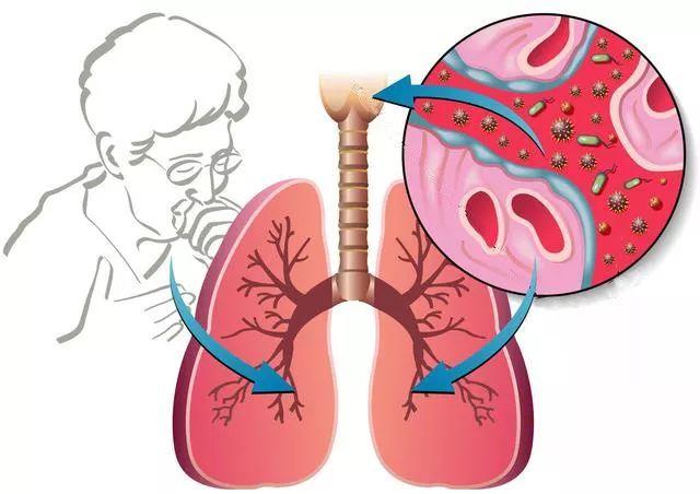 全网热议（足球决赛决赛）梵蒂冈比赛摩洛哥比分潜力榜排名-权威解读