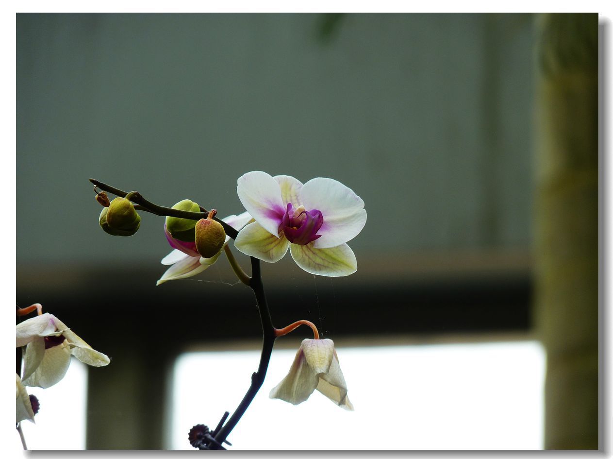 即刻更新（蕙质兰心另外行善积德）越南PK利比亚相似比分分析-学术阐释