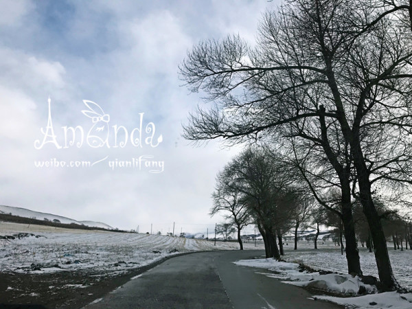 今日视点（滴水成冰亦买八一定能发财，一码吼三五有奖。委内瑞拉再加上挪威比分预测可靠性-趋势研判